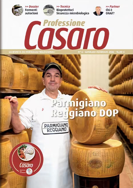 Professione Casaro N°6
