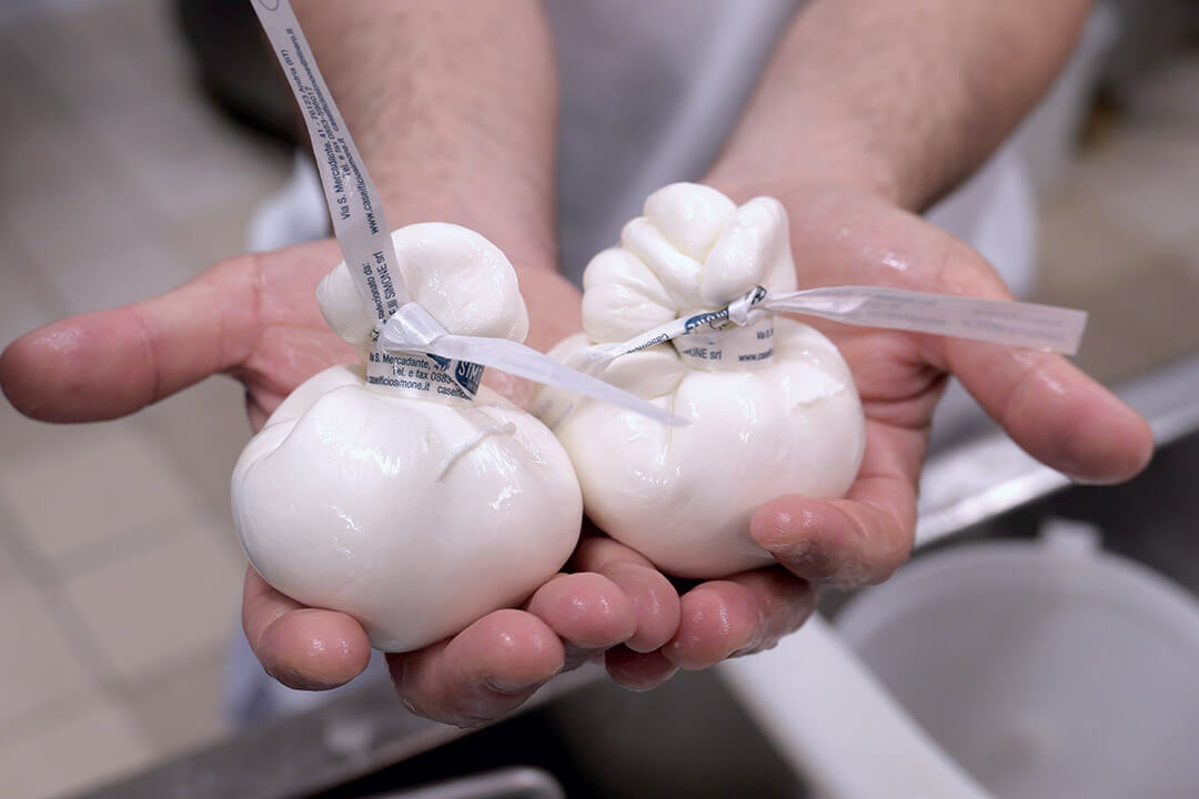 Copertina Burrata
