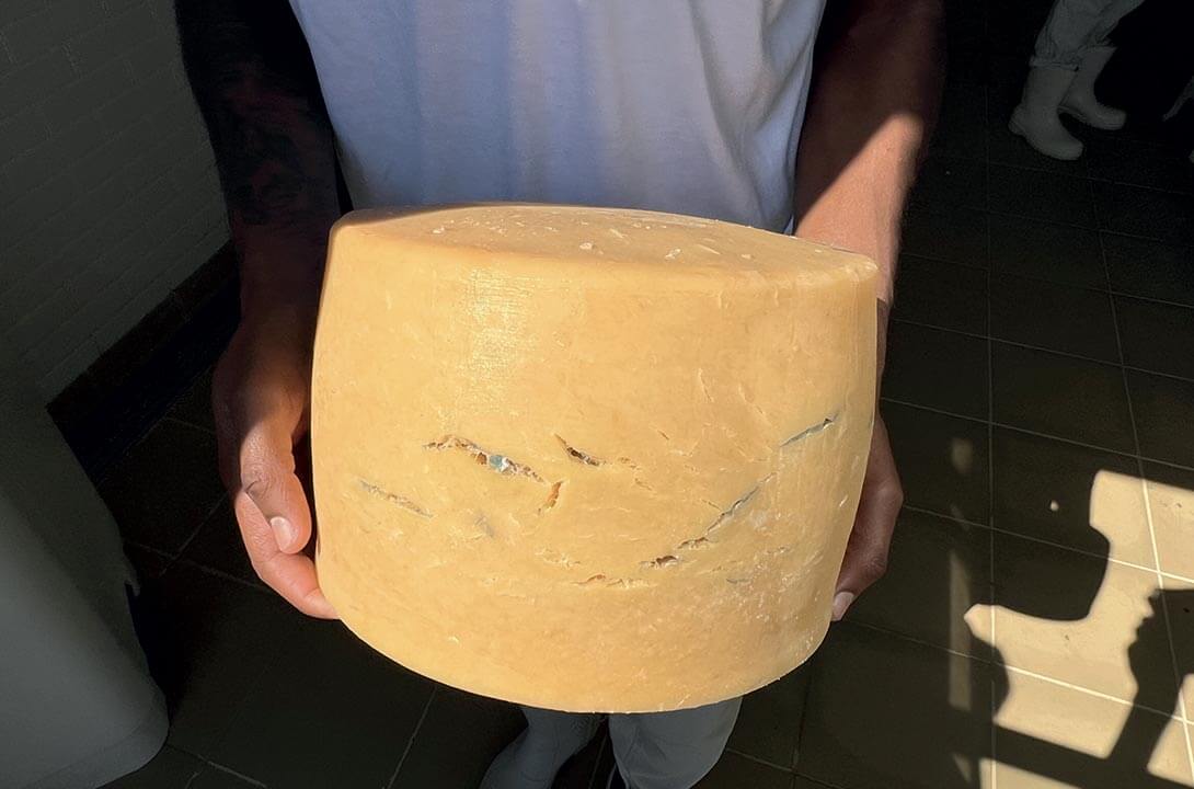 Copertina Crepe e fessure sulla superficie