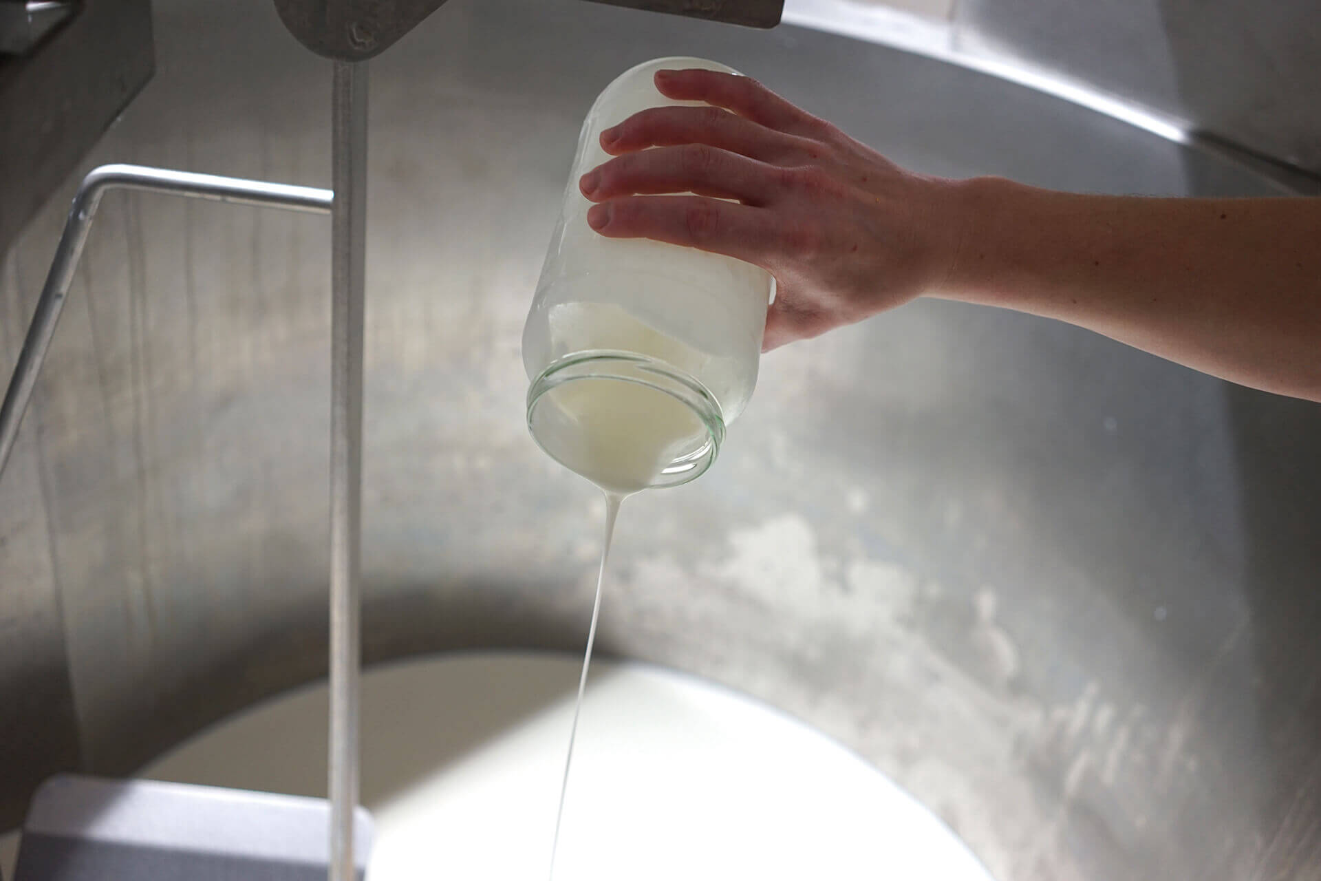 Coltivare i propri fermenti autoctoni - Professione Casaro