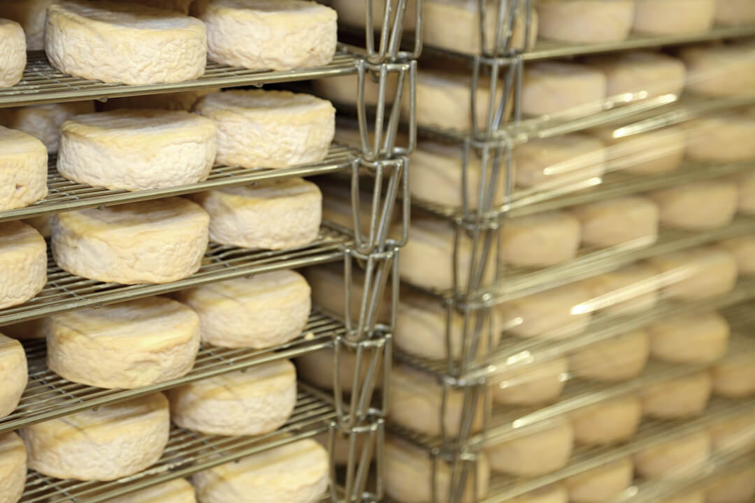 Copertina Formaggi Lattici