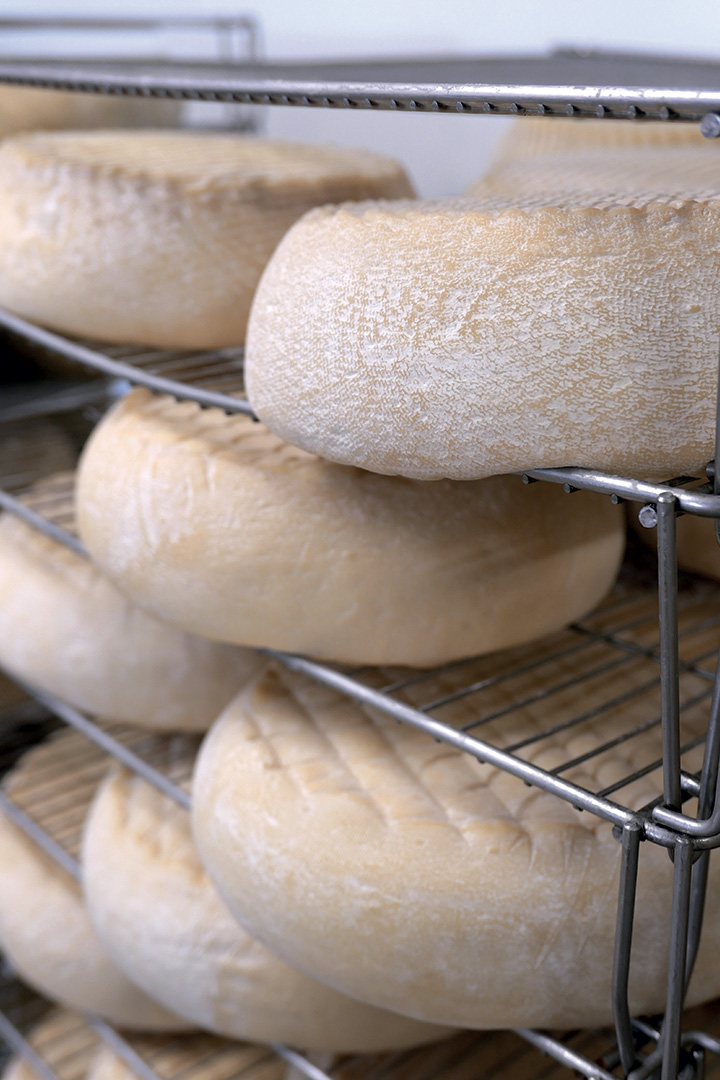 Copertina Quando lo scalzo del formaggio collassa